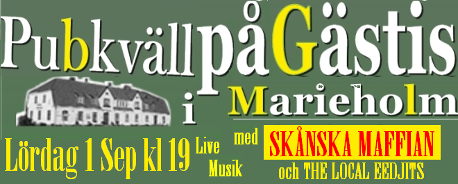 Akustik arr på Marieholms gästis